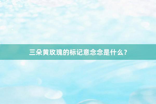 三朵黄玫瑰的标记意念念是什么？