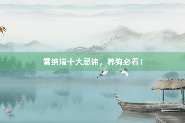 雪纳瑞十大忌讳，养狗必看！